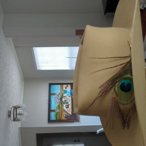 Stetson 6X Vintage Beaver Cowboy Hat